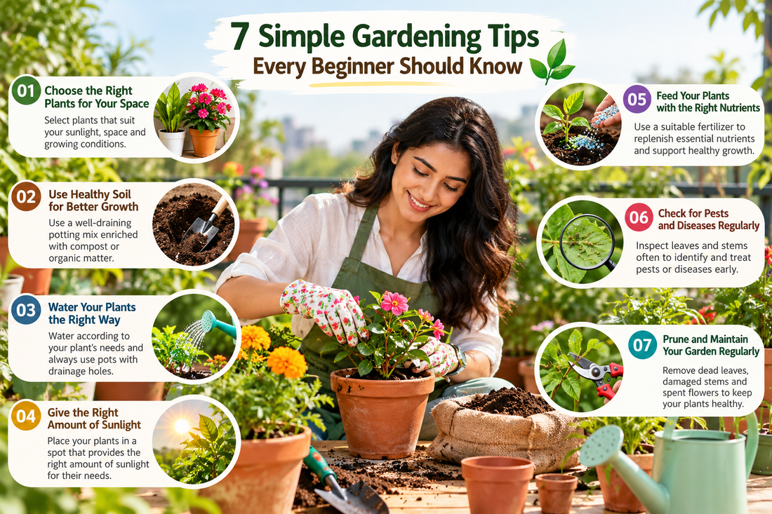 7 Simple Gardening Tips Every Beginner Should Know
