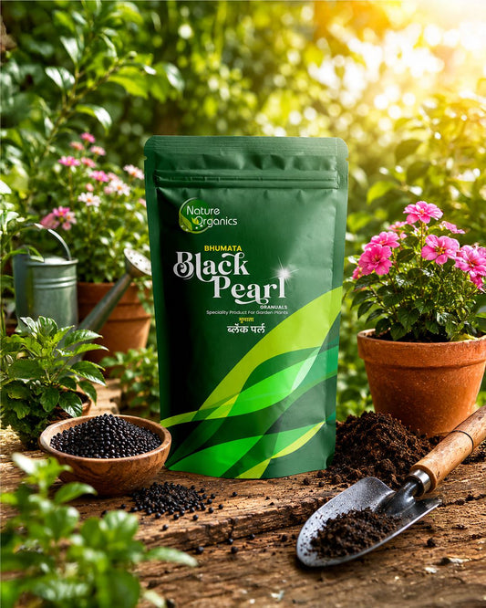 BHUMATA BLACK PEARL