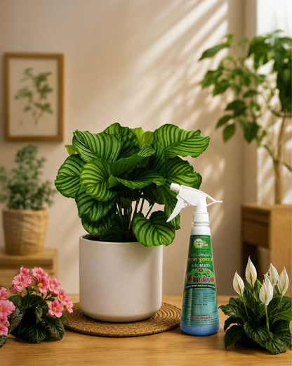 Vrundavan Spray 500ml