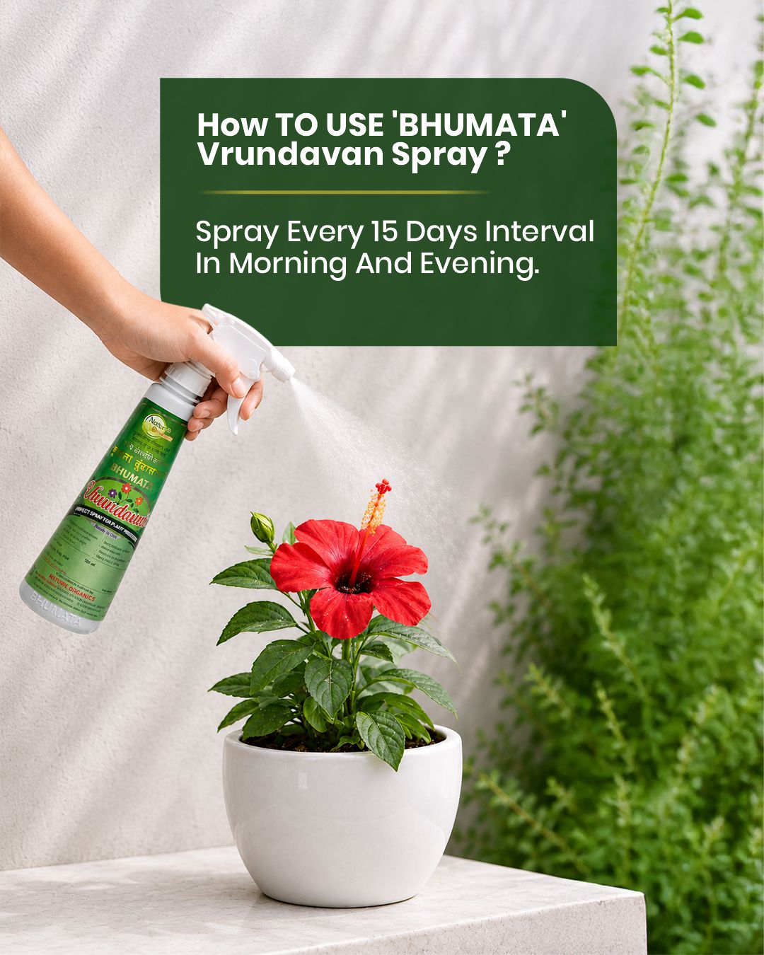 Vrundavan Spray 500ml