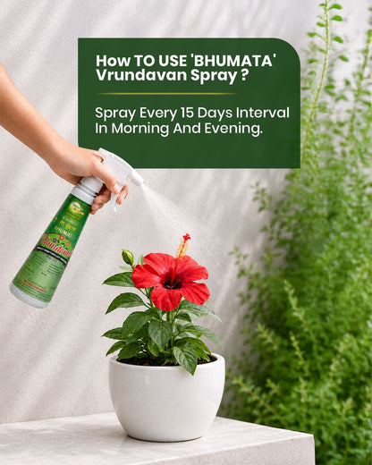 Vrundavan Spray 500ml