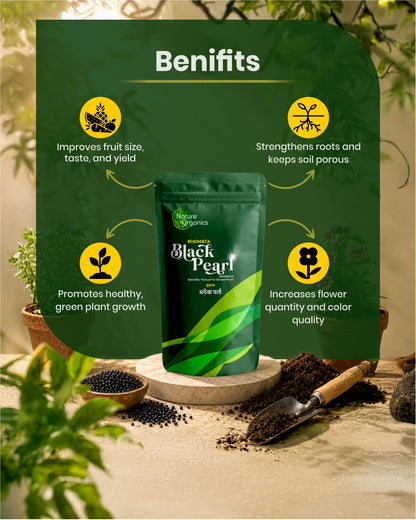 BHUMATA BLACK PEARL